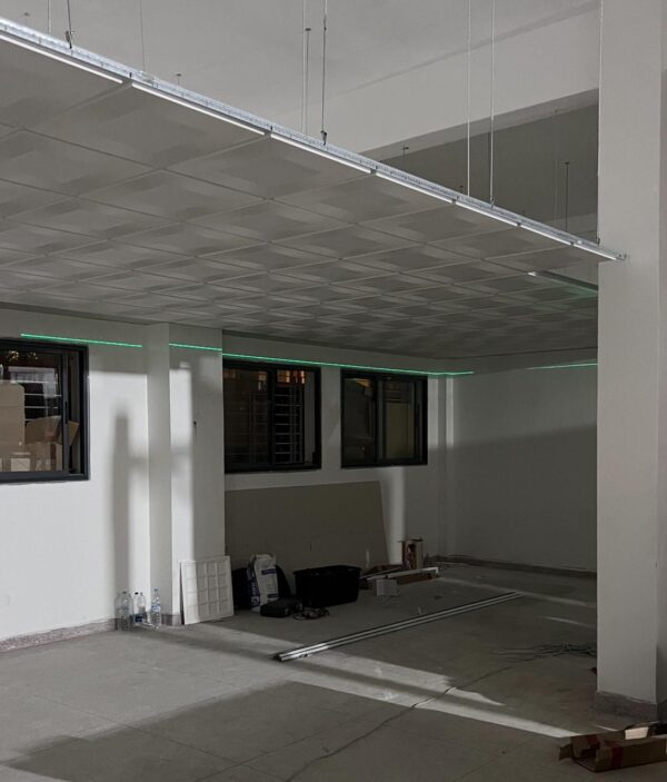 BA13 + Faux Plafond